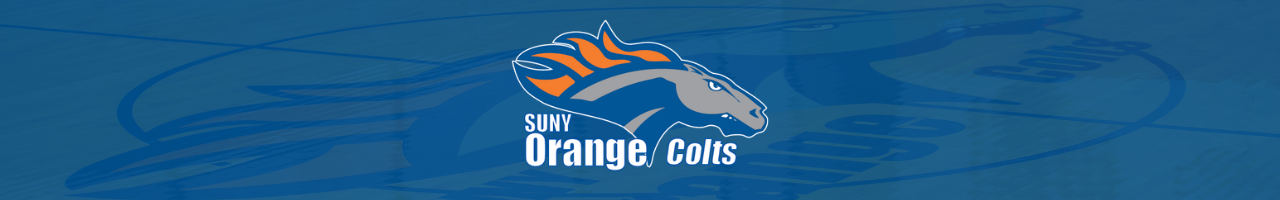 suny orange colts logo